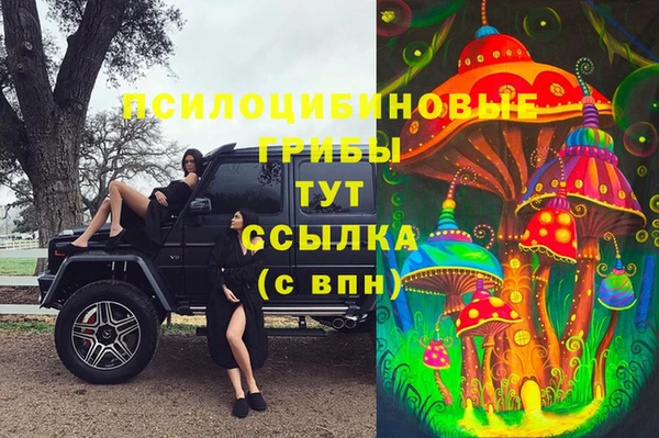 герыч Алзамай