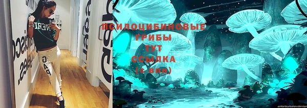 винт Абаза