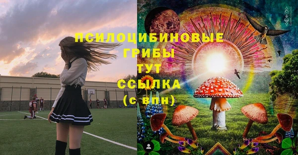 меф Алексин